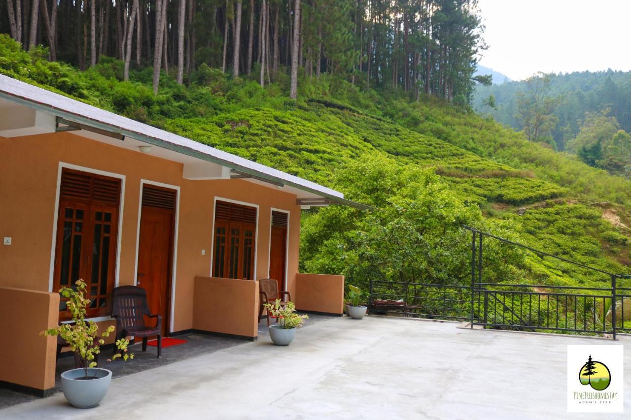 Pine Trees Homestay Nallathanniya Eksteriør bilde