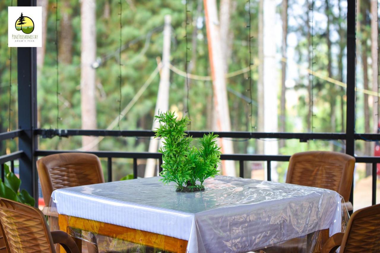Pine Trees Homestay Nallathanniya Eksteriør bilde