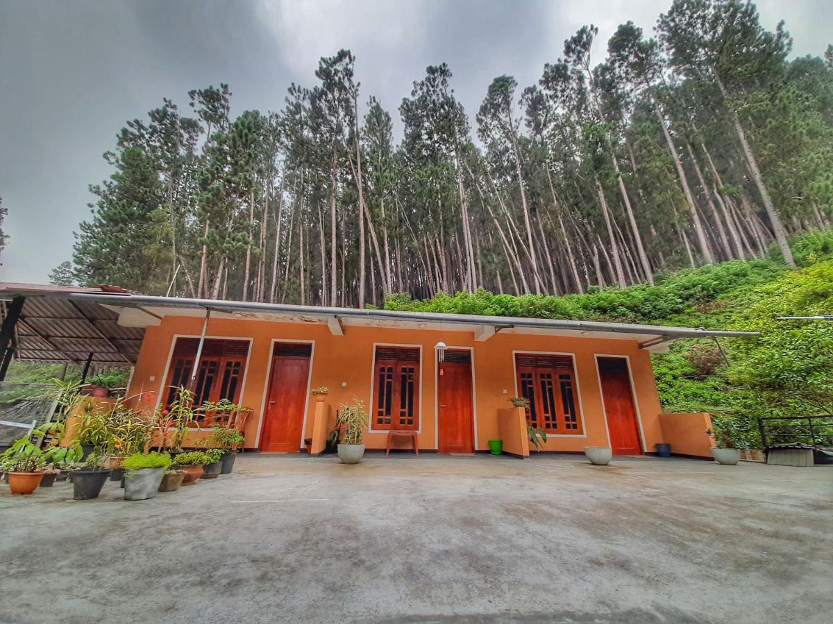 Pine Trees Homestay Nallathanniya Eksteriør bilde